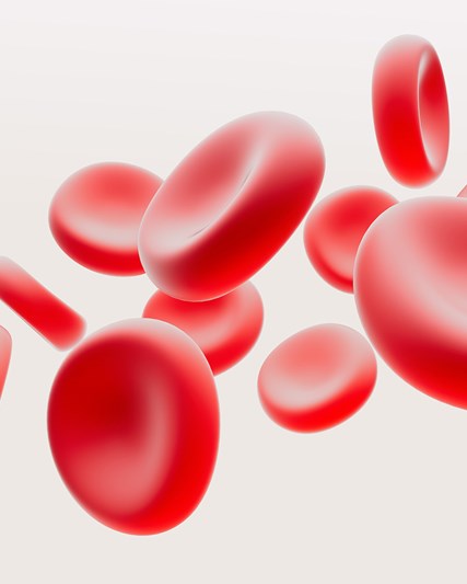 3D rendering of blood cells 