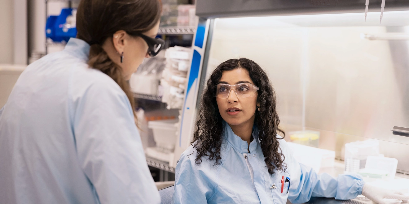 Two scientists discussing work in a lab