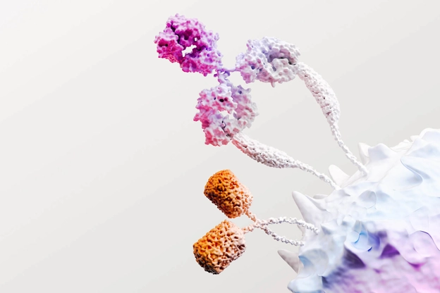 3D rendering of immuno-oncology cells