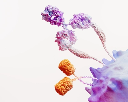 Immuno Oncology Science Image